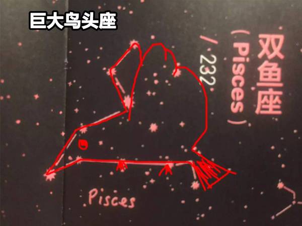 我说我画的是个从空中往下俯冲的鸟儿,你信不…因为其实标准星图连