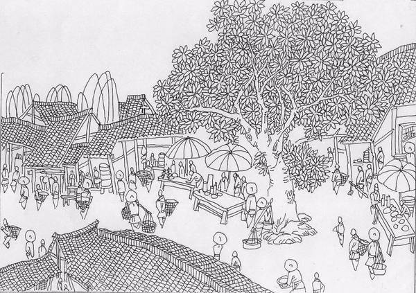 桂花 手绘