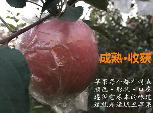 情书梁静茹吉他谱简单版简洁曲谱(2)