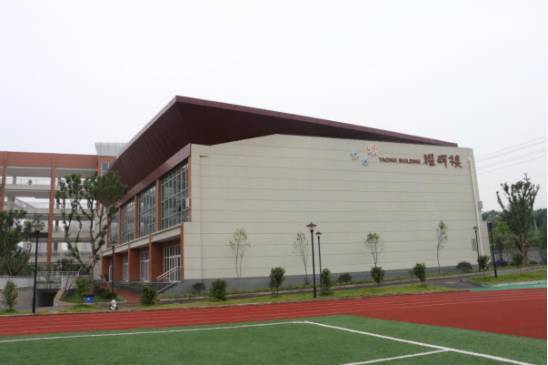 【走进北碚最美校园】人民路小学蔡家校区:为孩子插上