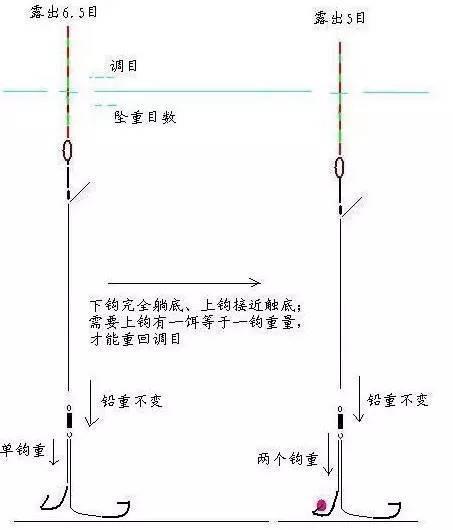 图解浮漂调钓的灵钝,看完必会!