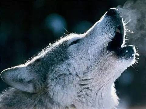 a3etvs9924488482855.jpeg