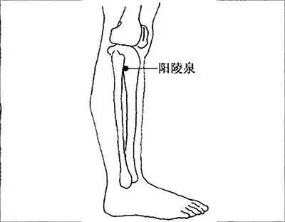 教你三个穴位按摩专治「老寒腿」!