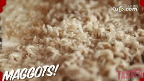 只有权贵才能体验的高级暗黑料理你吃过多少?