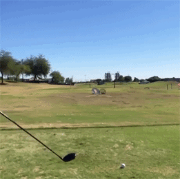 搞笑gif图:恐龙恶作剧,你考虑过别人的感受吗?