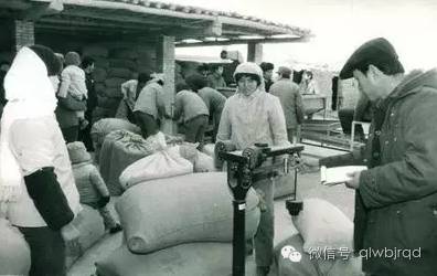老照片|农村交公粮的真实场面!你还记得吗?