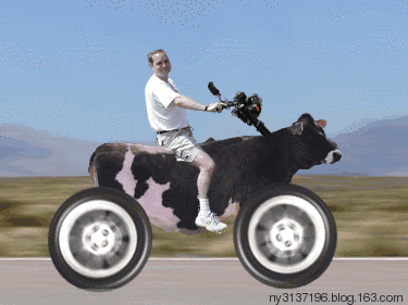 作为一个套马的女汉子,第一次还是有点小紧张