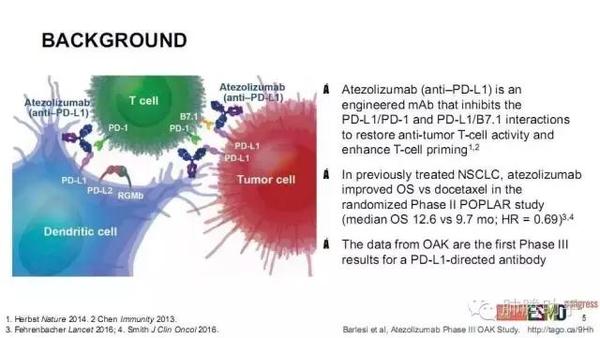 图说pd-l1神药阿特珠单抗