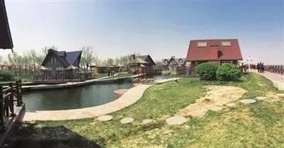 宁河区郊野公园房车营地