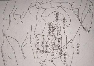 虾须,蟹眼水有名金鱼水.腮进口出.口出以合为妙,可见真水之分合.