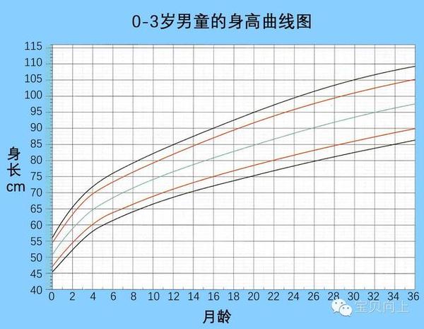 一张图看懂宝宝身高发育好不好,4点利于孩子长高