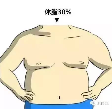 a52nx48675069162065.jpeg
