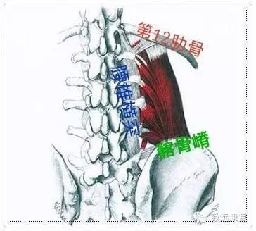 束去掉下面的一横怎么读