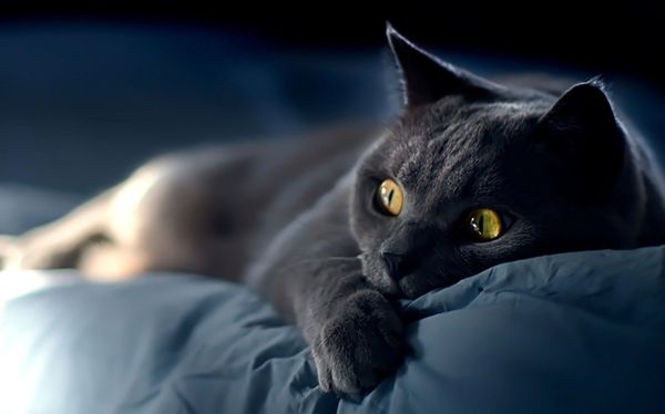 众裁招募:黑夜给了我小米5S的眼睛,我要去拍照