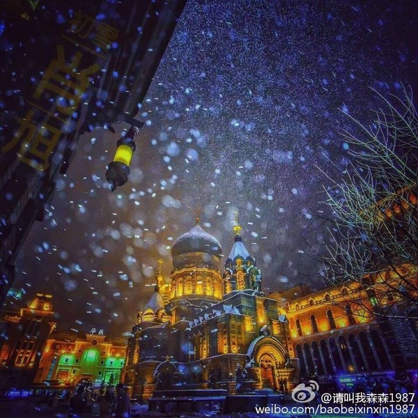 哈尔滨昨夜居然下雪了,仿佛欧洲童话,简直美到爆!一组