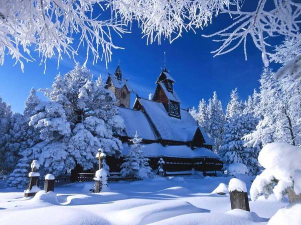 哈尔滨昨夜居然下雪了,仿佛欧洲童话,简直美到爆 一组照片惊艳全国图片