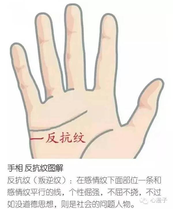 每个人的手相不同,然而通过手相可知你未来事,下图解守财纹,小人纹