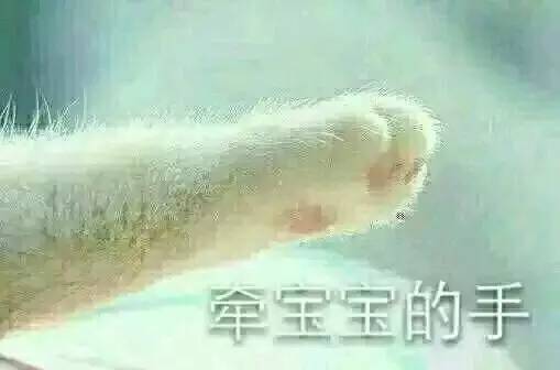以你们智障多年 不离不弃的经验来看 你们一定很想要全套表情包对不