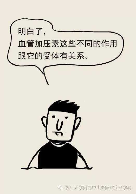 血管加压素到底有些什么用?