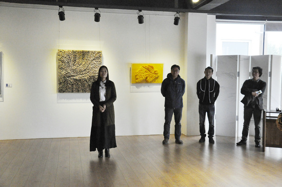 michael downs,表仁夫,欧阳昌果当代艺术三人展