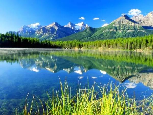 中国最美十大森林之一 a419i14311286257104.jpeg