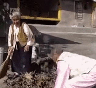 亲爱的,不要跨过那条江-新闻频道-手机搜狐