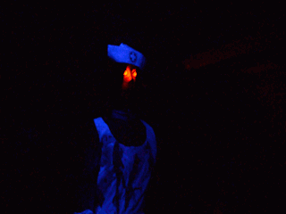 动图 演出时间:10月8日~10月31日