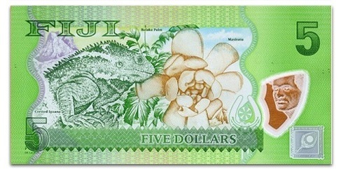 世界最美钱币,美感十足—斐济5元塑料钞