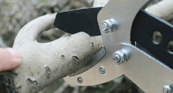 你不知道祖师爷竟是剪刀手爱德华?