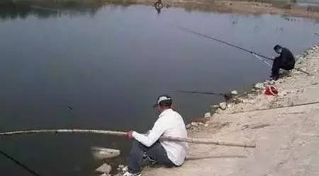 高清钓鱼趣图