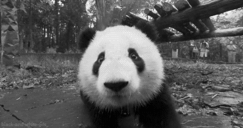 一首《成都》刷屏?爱这里的理由,一万个都不够