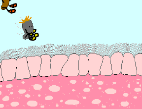 288_220 gif 动态图 动图