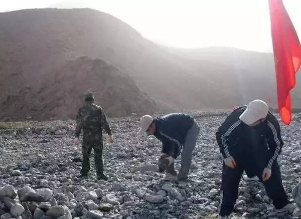 新疆捡石头机 a6z44h08663627945596.jpeg