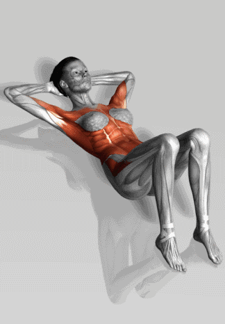 史上最全肌肉锻炼动图,别再瞎练了!