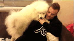 来源:视觉志(qq_shijuezhi) 在这个世上 有一种单身狗 不仅不凄凉