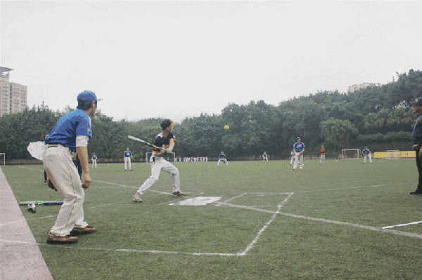 今天(10月29日)上午9点2016重庆市首届"博尔康"杯棒垒球公开赛在110福田三轮摩托车图片
