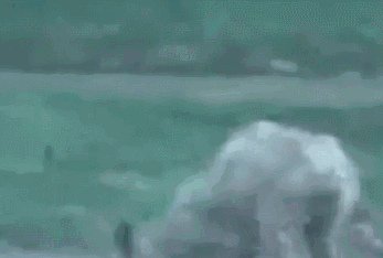 那些来自地狱的神秘生物啊,请解除你的封印吧!