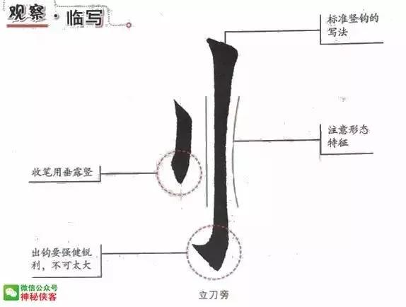 a9l43p6914713086325.jpg