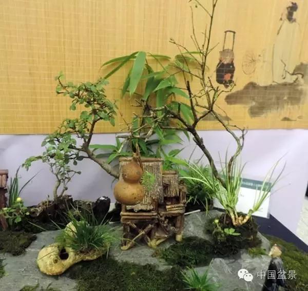 微型小品盆景大有可为