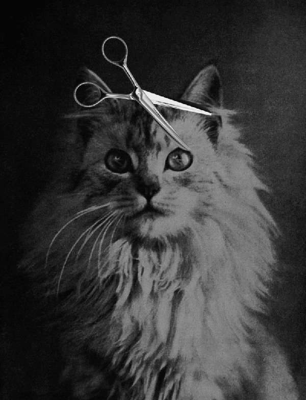 艺术家和电影制片人 billdomonkos擅长在老照片,老电影上进行二次创作