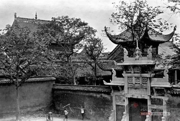 百善街道人口_人口普查图片(2)