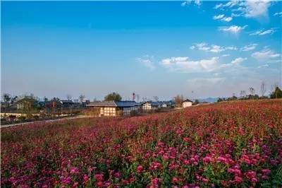 白市驿人口_白市驿图片
