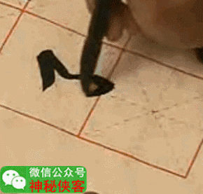 赵孟頫楷书基本笔画gif动态图