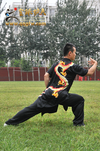 "中国功夫 少林心意拳招式图解