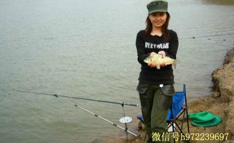a3wgia37132316570482.jpg