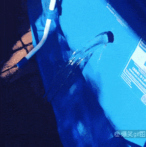 平台动图首发 10000张2b,恶搞,傻缺,内涵,美女,萌宠动态图一次看个够!