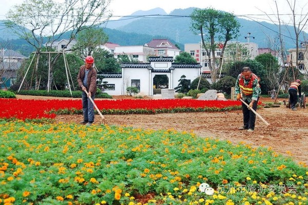 逍遥 摄 建德市更楼街道于合村