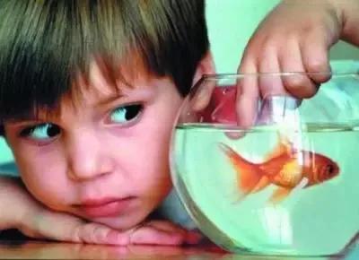 为什么孩子对我的话听而不闻