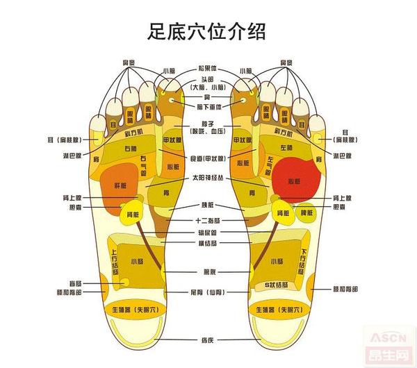 "这是中医早就有的说法,脚部是人体的第二心脏.