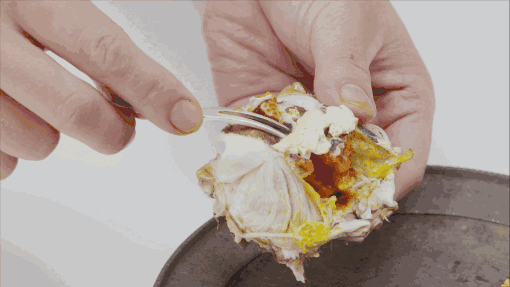 a1nu6h3337773596225.gif